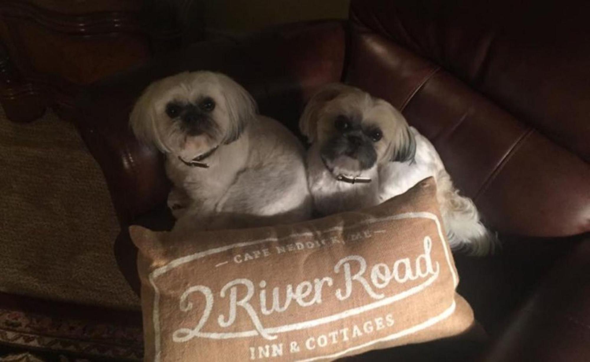 2 River Road Inn Cottages Cape Neddick Ngoại thất bức ảnh